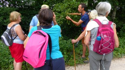 Gintrac, autour du Puy de Garissous