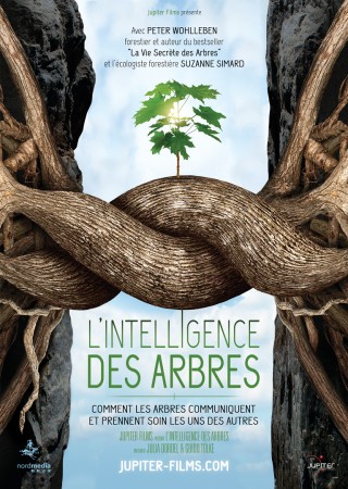 LA FORET AU CŒUR DE LA VIE, ciné soupe