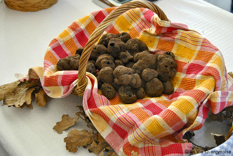 FOIRE AUX TRUFFES A CUZANCE, sortie atelier cuisine