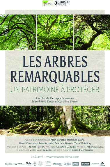 Grainothèque, présentation et cinéma