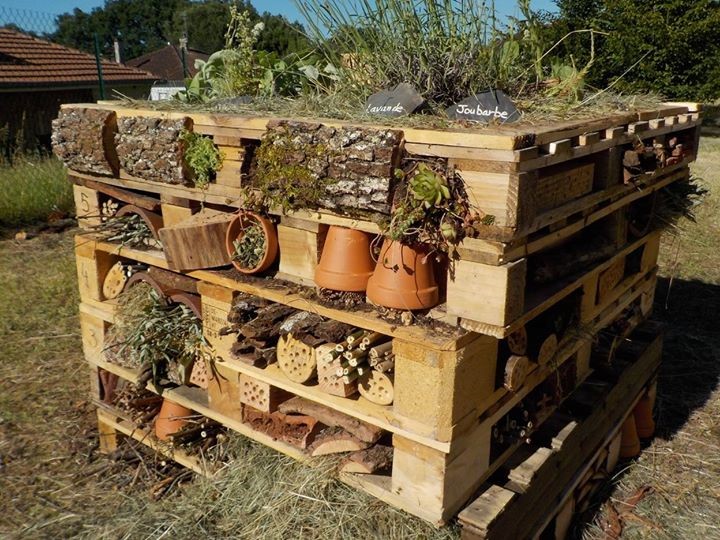 ECOMUSÉE DE CUZALS, sortie au musée